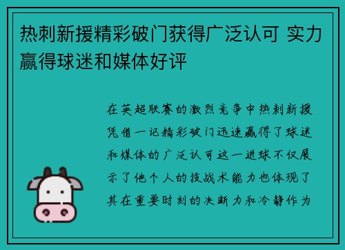 热刺新援精彩破门获得广泛认可 实力赢得球迷和媒体好评