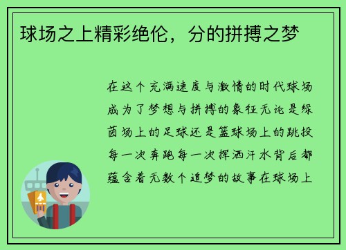 球场之上精彩绝伦，分的拼搏之梦